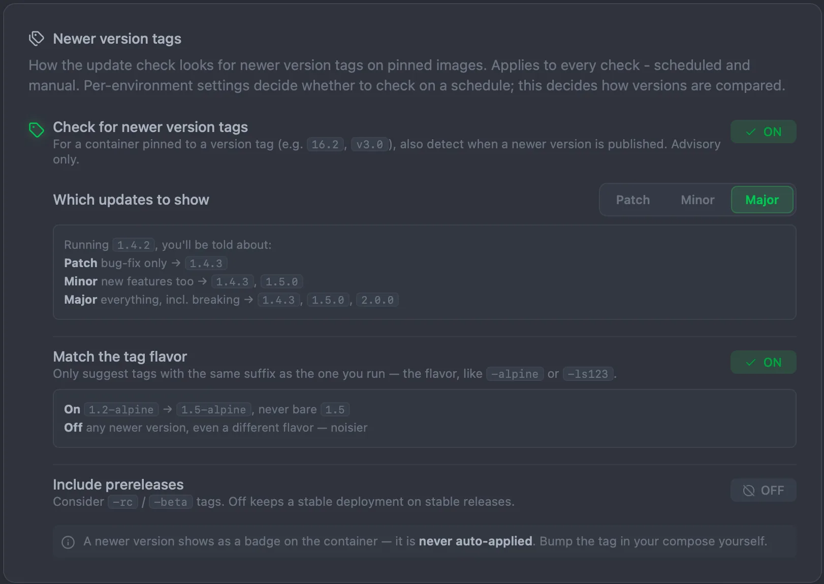 The Newer version tags card in Settings, General, showing the 'Check for newer version tags' toggle enabled, with the maximum bump segmented control (Patch / Minor / Major), a 'Match the tag flavor' toggle, and an 'Include prereleases' toggle.